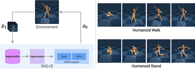 Figure 3 for Mastering Visual Continuous Control: Improved Data-Augmented Reinforcement Learning