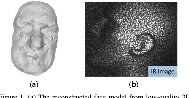 Figure 1 for Face Recognition from Sequential Sparse 3D data via Deep Registration
