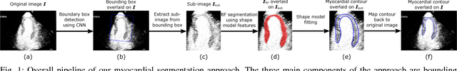 Figure 1 for Fully Automatic Myocardial Segmentation of Contrast Echocardiography Sequence Using Random Forests Guided by Shape Model