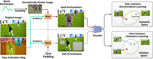 Figure 3 for Visual Perturbation-aware Collaborative Learning for Overcoming the Language Prior Problem