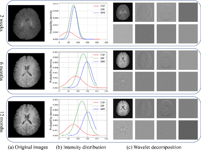 Figure 1 for Longitudinal Prediction of Postnatal Brain Magnetic Resonance Images via a Metamorphic Generative Adversarial Network