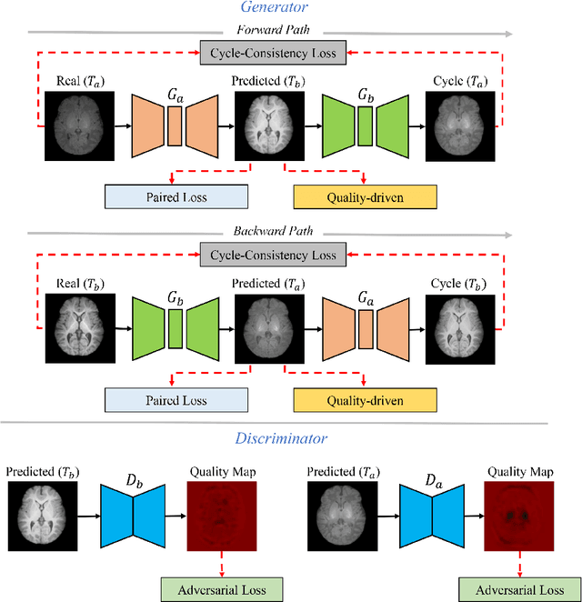 Figure 3 for Longitudinal Prediction of Postnatal Brain Magnetic Resonance Images via a Metamorphic Generative Adversarial Network