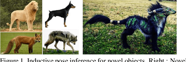 Figure 1 for Pose Induction for Novel Object Categories