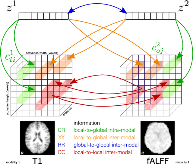 Figure 1 for Self-supervised multimodal neuroimaging yields predictive representations for a spectrum of Alzheimer's phenotypes