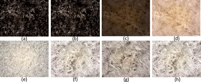 Figure 4 for Fabric Surface Characterization: Assessment of Deep Learning-based Texture Representations Using a Challenging Dataset