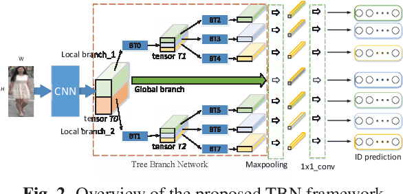 Figure 3 for Pedestrian re-identification based on Tree branch network with local and global learning