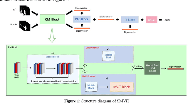 Figure 1 for Multi-view Gait Recognition based on Siamese Vision Transformer