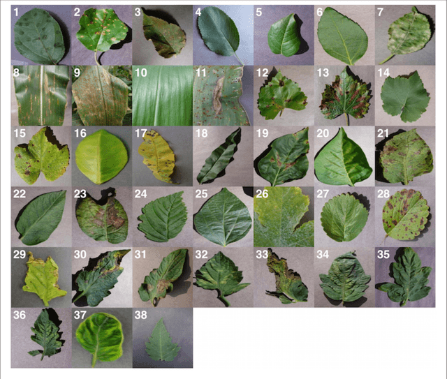 Figure 1 for Using Deep Learning for Image-Based Plant Disease Detection