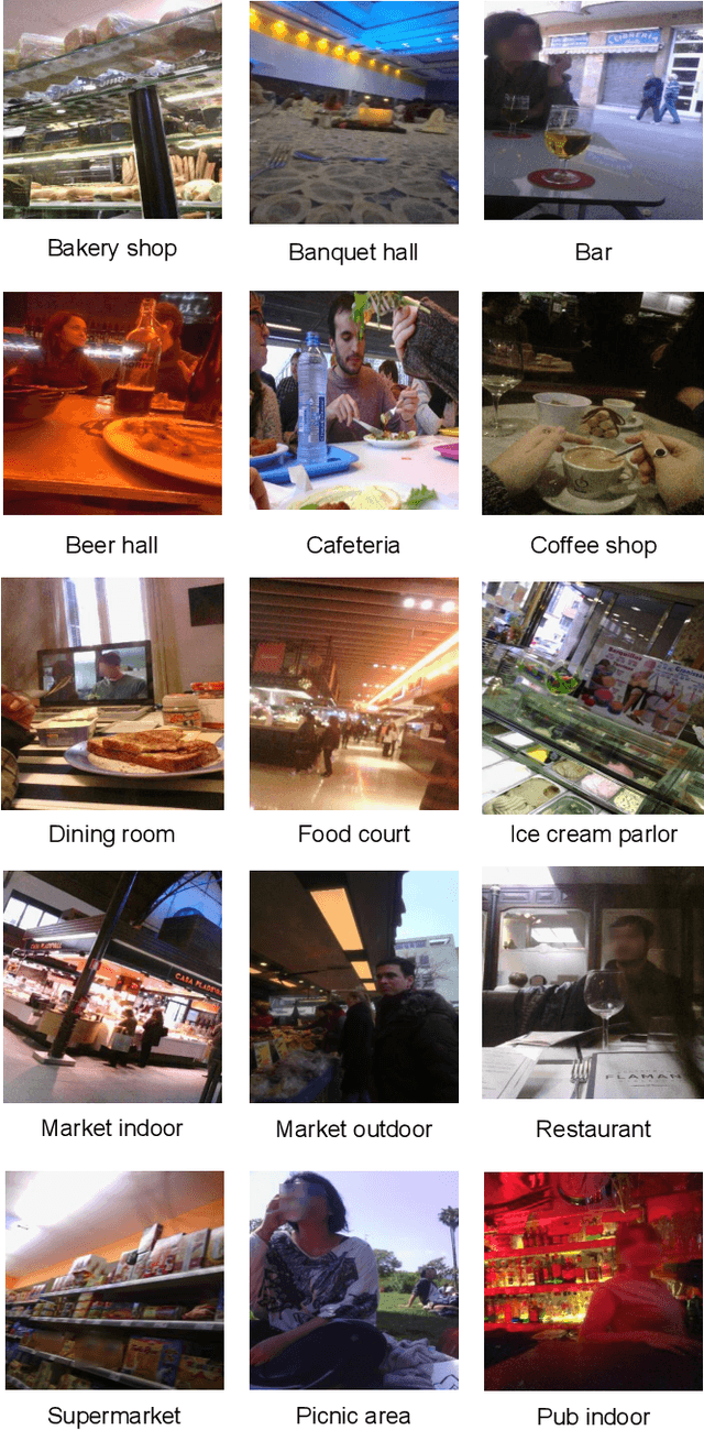 Figure 1 for Hierarchical approach to classify food scenes in egocentric photo-streams
