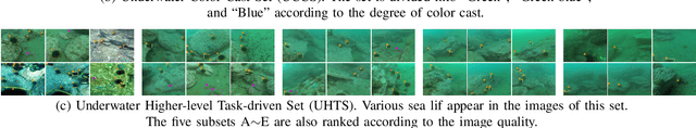 Figure 2 for Real-world Underwater Enhancement: Challenging, Benchmark and Efficient Solutions