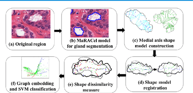 Figure 2 for A Comprehensive Review for MRF and CRF Approaches in Pathology Image Analysis