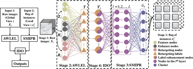 Figure 3 for Single-Stage Broad Multi-Instance Multi-Label Learning (BMIML) with Diverse Inter-Correlations and its application to medical image classification