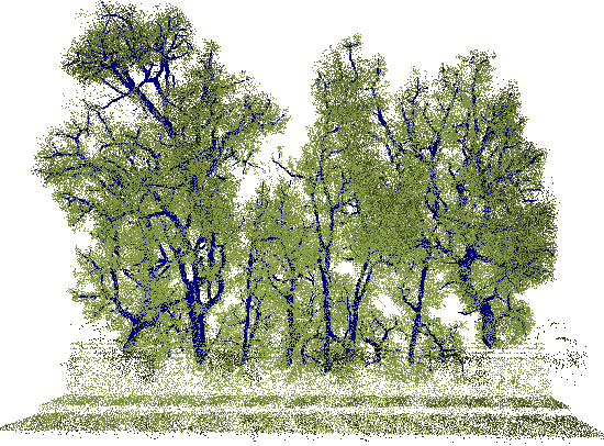 Figure 2 for Tree Reconstruction using Topology Optimisation