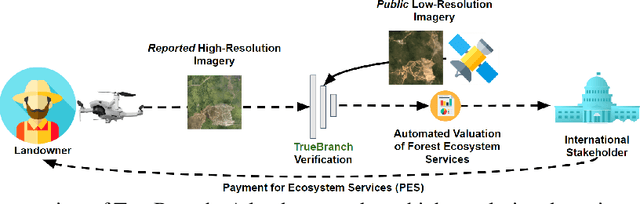 Figure 1 for TrueBranch: Metric Learning-based Verification of Forest Conservation Projects