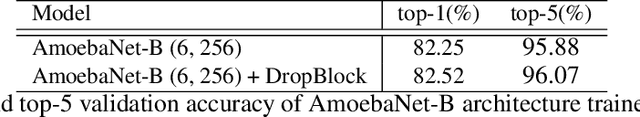 Figure 4 for DropBlock: A regularization method for convolutional networks