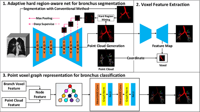 Figure 1 for BronchusNet: Region and Structure Prior Embedded Representation Learning for Bronchus Segmentation and Classification