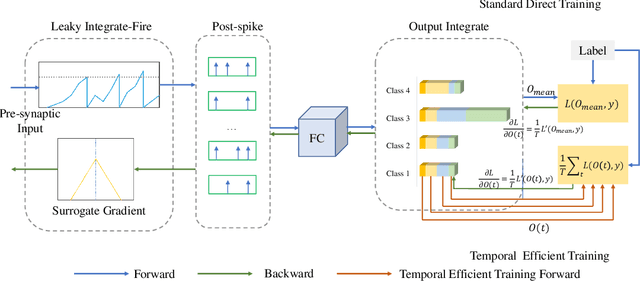 Figure 1 for Temporal Efficient Training of Spiking Neural Network via Gradient Re-weighting
