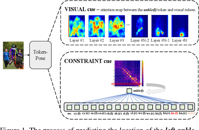 Figure 1 for TokenPose: Learning Keypoint Tokens for Human Pose Estimation