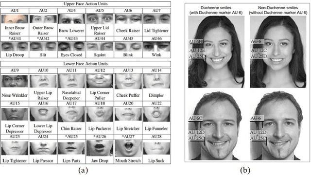Figure 2 for Detection of Genuine and Posed Facial Expressions of Emotion: A Review
