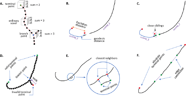 Figure 3 for Automatic tracing of mandibular canal pathways using deep learning
