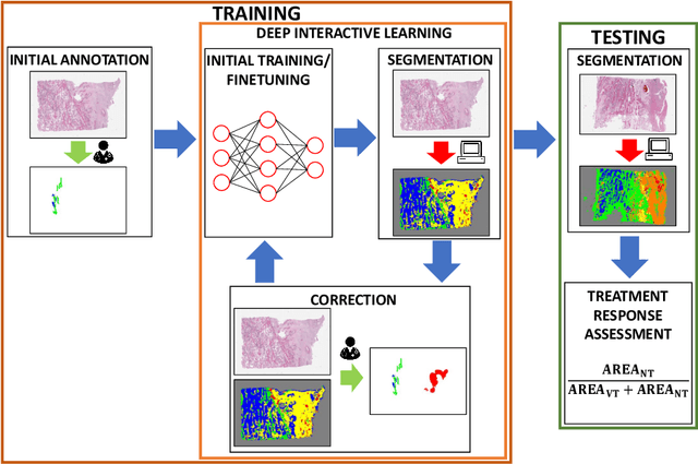 Figure 1 for Deep Interactive Learning: An Efficient Labeling Approach for Deep Learning-Based Osteosarcoma Treatment Response Assessment