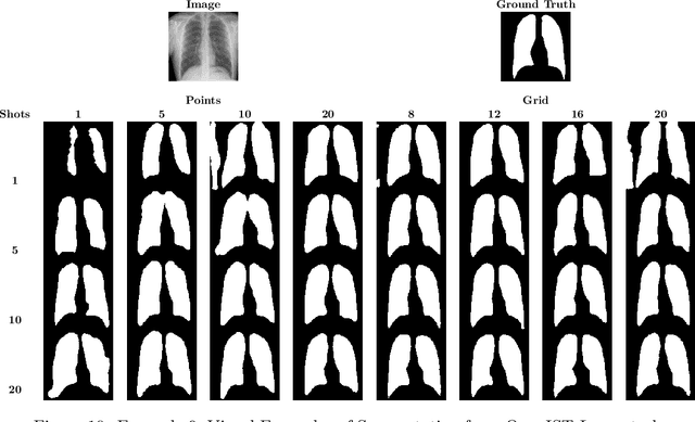 Figure 3 for Learning to Segment Medical Images from Few-Shot Sparse Labels