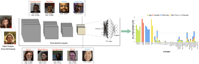 Figure 1 for Interpreting Face Inference Models using Hierarchical Network Dissection