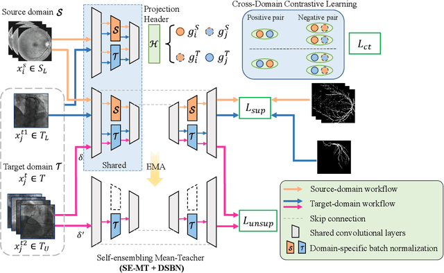 Figure 2 for Contrastive Semi-supervised Learning for Domain Adaptive Segmentation Across Similar Anatomical Structures