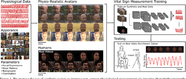 Figure 1 for Advancing Non-Contact Vital Sign Measurement using Synthetic Avatars