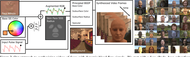 Figure 3 for Advancing Non-Contact Vital Sign Measurement using Synthetic Avatars