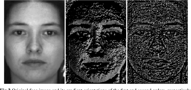 Figure 3 for Face recognition via compact second order image gradient orientations