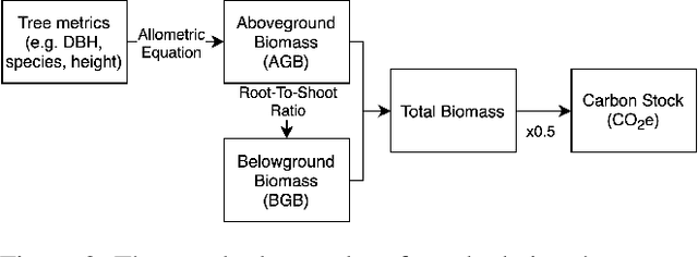 Figure 3 for ReforesTree: A Dataset for Estimating Tropical Forest Carbon Stock with Deep Learning and Aerial Imagery
