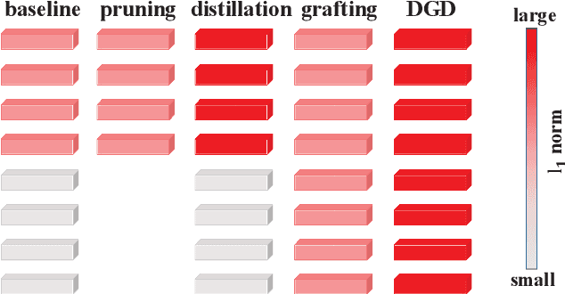 Figure 1 for DGD: Densifying the Knowledge of Neural Networks with Filter Grafting and Knowledge Distillation