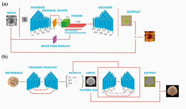 Figure 1 for Nanoscale Microscopy Images Colourisation Using Neural Networks