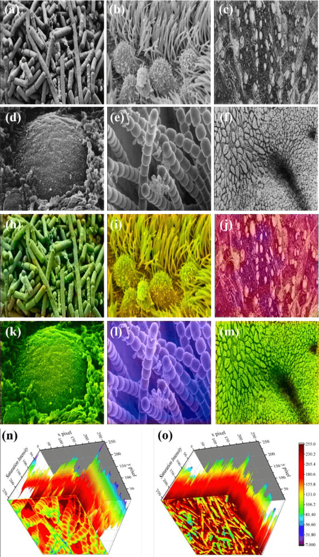 Figure 2 for Nanoscale Microscopy Images Colourisation Using Neural Networks