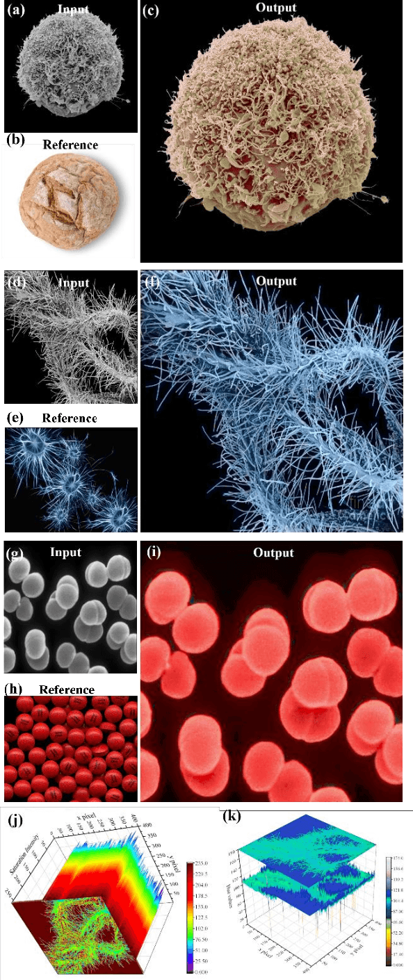 Figure 4 for Nanoscale Microscopy Images Colourisation Using Neural Networks