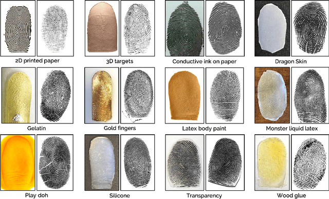 Figure 3 for Fingerprint Spoof Generalization