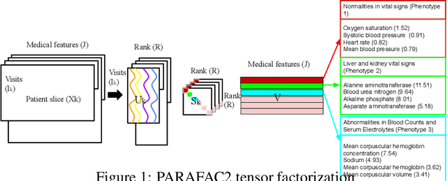 Figure 2 for MULTIPAR: Supervised Irregular Tensor Factorization with Multi-task Learning