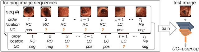 Figure 1 for Order-Guided Disentangled Representation Learning for Ulcerative Colitis Classification with Limited Labels
