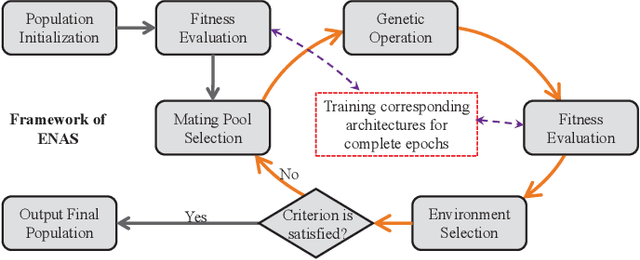 Figure 1 for Accelerating Evolutionary Neural Architecture Search via Multi-Fidelity Evaluation