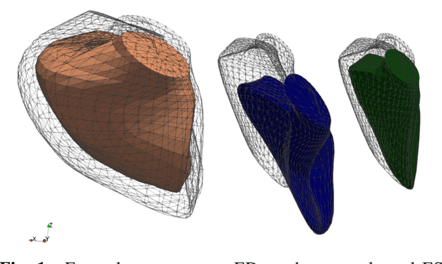 Figure 1 for Cardiac Motion Modeling with Parallel Transport and Shape Splines
