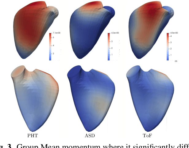 Figure 3 for Cardiac Motion Modeling with Parallel Transport and Shape Splines