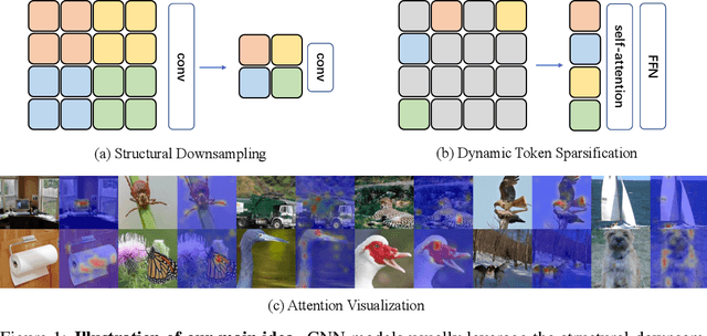 Figure 1 for DynamicViT: Efficient Vision Transformers with Dynamic Token Sparsification