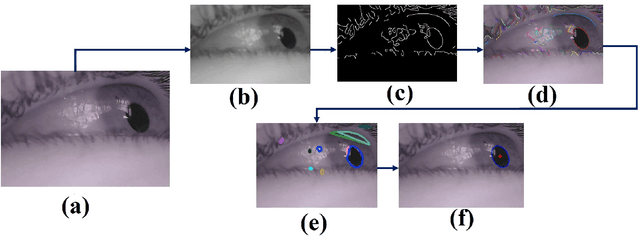 Figure 3 for ESCaF: Pupil Centre Localization Algorithm with Candidate Filtering