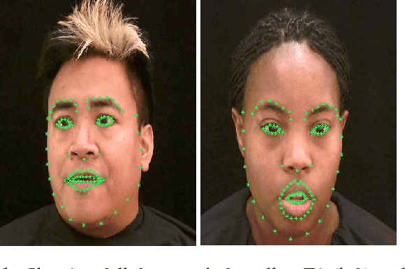 Figure 2 for Resolution limits on visual speech recognition