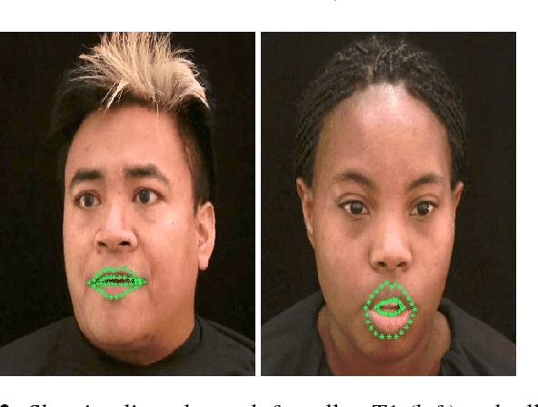 Figure 4 for Resolution limits on visual speech recognition