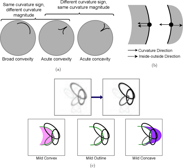 Figure 1 for Learning a model of shape selectivity in V4 cells reveals shape encoding mechanisms in the brain