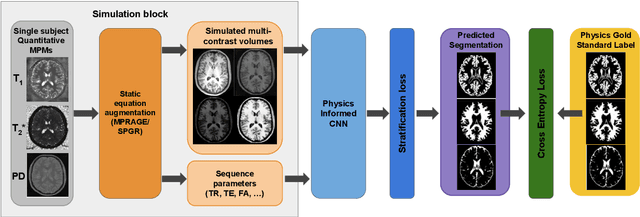 Figure 1 for Acquisition-invariant brain MRI segmentation with informative uncertainties