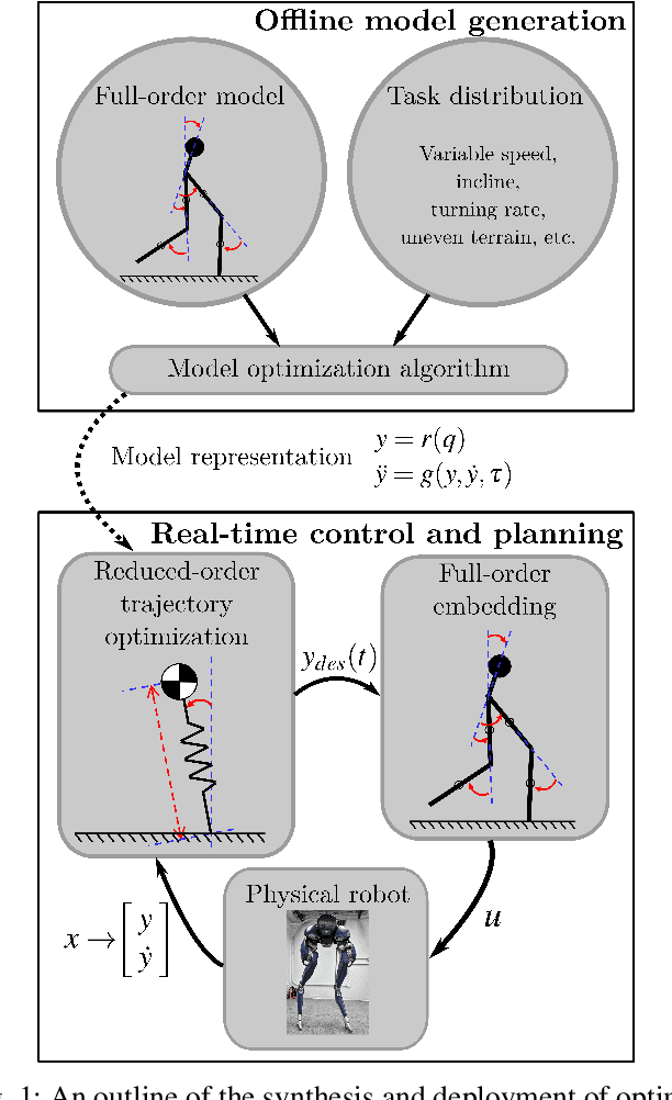 Figure 1 for Optimal Reduced-order Modeling of Bipedal Locomotion
