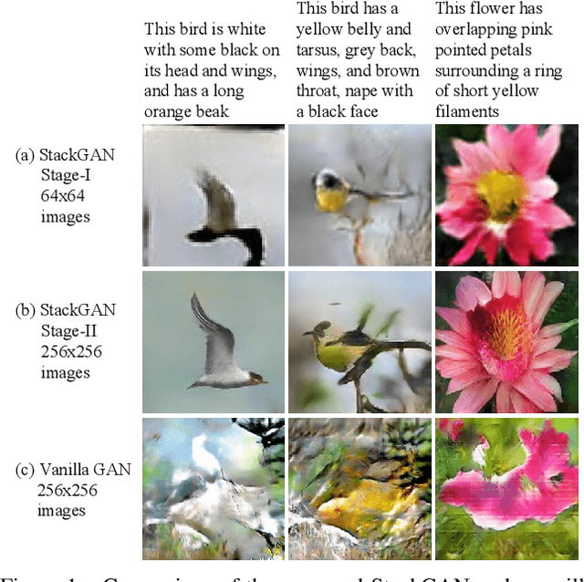 Figure 1 for StackGAN: Text to Photo-realistic Image Synthesis with Stacked Generative Adversarial Networks
